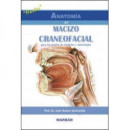 Macizo Craneofacial