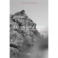 el Leopardo de las Nieves - Guanxe Atlantic Marketplace
