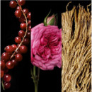 Very Good Girl Edp  CAROLINA HERRERA