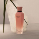 Terracota Musk Edp  A.DOMÍNGUEZ - ADN