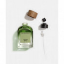 Vetiver Terra Edp  A.DOMÍNGUEZ - ADN