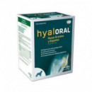HYALORAL RAZAS GDES 120 COMP(VET)