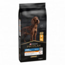 PROPLAN Perro Adulto Large Athletic Pollo 14 Kg