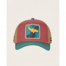 Gorra Capslab Daffy Multi  CAPS LAB