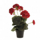 Terraza Y Jardín Planta 3549214