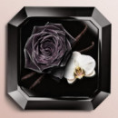 Tresor la Nuit Edp  LANCOME