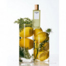 LOEWE Aire Edt