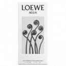 LOEWE Agua Edt