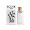 LOEWE Agua Mar de Coral