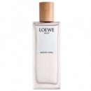 LOEWE Agua Mar de Coral