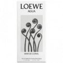 LOEWE Agua Mar de Coral