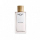 LOEWE Agua Mar de Coral
