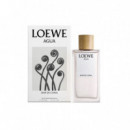 LOEWE Agua Mar de Coral