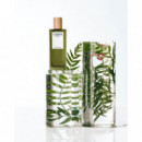 LOEWE Esencia Edt