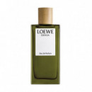 LOEWE Esencia Edp