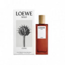 LOEWE Solo Cedro