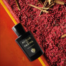 Signatures Of The Sun Oud & Spice Edp  ACQUA DI PARMA