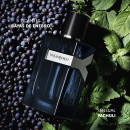 YVESSAINTLAURENT y Men Eau de Parfum Intense