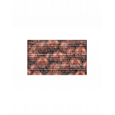 Protein Tender Balls  IO.GENIX