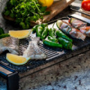 Tasty&grill 2500 Rockwater Mixgrill  CECOTEC