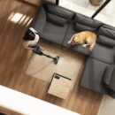 Conga Rockstar 2500 Ultimate Ergowet Conectado CECOTEC