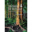 un Baãâ±o de Bosque