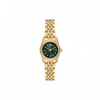 Reloj Dorado  MICHAEL KORS - Guanxe Atlantic Marketplace