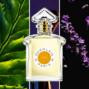 Les Légendaires - Jicky Edp  GUERLAIN