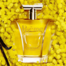 Lancôme Poeme Eau de Parfum  LANCOME