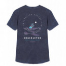 Camisetas Hombre Camiseta ARICA Shackleton