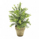 Pino Pequeño Artificial Realista en Maceta Rústica 26 Cm GREEN ESSENTIALS®