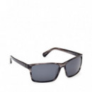 Gafas de Sol TB00032  TIMBERLAND