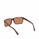 Gafas de Sol TB00032  TIMBERLAND