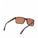 Gafas de Sol TB00032  TIMBERLAND