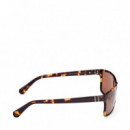 Gafas de Sol TB00032  TIMBERLAND