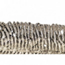 Centro Plateado  PÉREZ ÁVILA