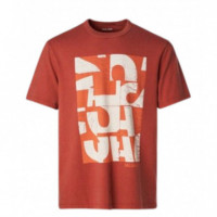 SALSA JEANS Polos Camiseta Salsa Regular Fit - Guanxe Atlantic Marketplace