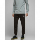 JACK AND JONES Jjigordon Jjshark Sweat Pants At Noos