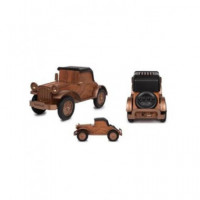 KOOLTECH Altavoz BLUETOOTH con Radio Sp-car