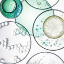 Kerastase Specifique Bain Vital Dermocalm, 250ML  KÉRASTASE