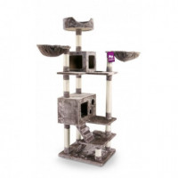 Pr Rascador Cleveland 175 Cm Capuchino  PETREBELS