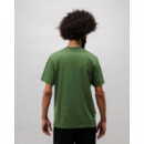 Camisetas Hombre Camiseta BRAVA FABRICS Jurassic Park Dino Verde