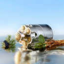 Wanted
eau de Parfum  AZZARO