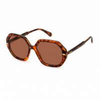 Gafas de Sol POLAROID Pld 4124/S - Guanxe Atlantic Marketplace