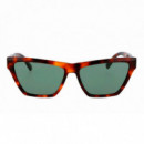 Gafas de Sol SLM103  SAINT LAURENT
