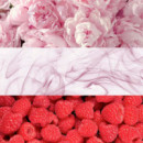 Eternity Moment  CALVIN KLEIN