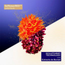 Vital Perfection Concentrated Supreme Cream  SHISEIDO