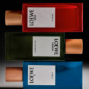 Agua Drop  LOEWE