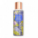 Garden Daydream  VICTORIA´S SECRET