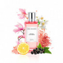 Les Eaux D'un Instant Citrusy Magnolia  ANGEL SCHLESSER